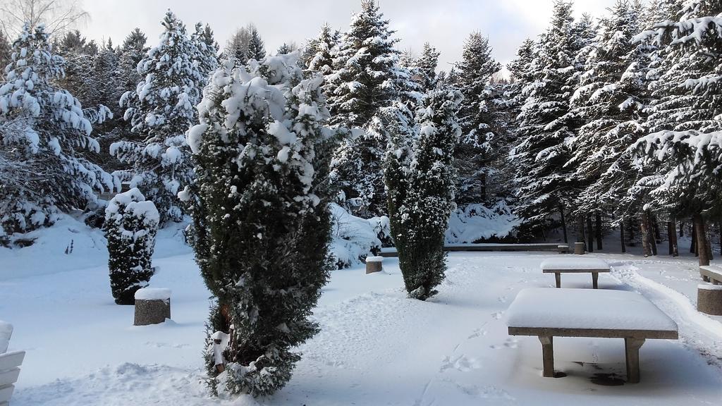 Ferienhotel Markersbach Luaran gambar